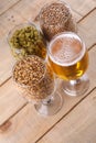 Light beer and ingredients Royalty Free Stock Photo