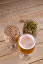 Light beer and ingredients Royalty Free Stock Photo