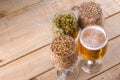 Light beer and ingredients Royalty Free Stock Photo