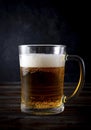 Light beer, 1 beer mug on a dark wooden background, alcoholic drink Royalty Free Stock Photo