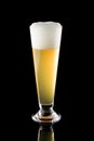 Light beer in tall glass