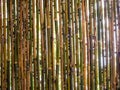 light behide the Bamboo patition Royalty Free Stock Photo