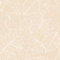 Light beige background with outline hand drawn autumn leaves. Vector fall seamless pattern.