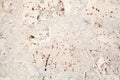 Light beige surface of the cork wood tile closeup, white and brown mottled texture background Royalty Free Stock Photo