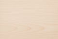 Light Birch Wood Texture Background - Smooth Natural Plywood Surface Royalty Free Stock Photo