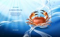 Light blue background with flows and drops of crystal clear water and red crab Royalty Free Stock Photo