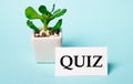 On a light blue background - a potted plant and a white card with the inscription QUIZ