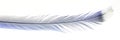 Light blue bird feather isolated on white background Royalty Free Stock Photo