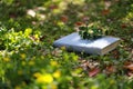 A light blue closed book lying on grass, a bunch of flower on book cover, in a srping garden