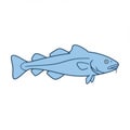 Light Blue Cod Fish Illustration Royalty Free Stock Photo