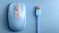 Light blue computer mouse and USB cable on matching background Royalty Free Stock Photo