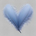Light blue feather on transparent background Royalty Free Stock Photo