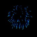 light blue fireworks burst in the air light up the sky with dazzling display and Colorful fireworks festivals on black Royalty Free Stock Photo