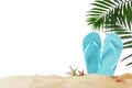 Light blue flip flops and starfishes on sand against background. Beach objects Royalty Free Stock Photo