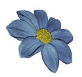 Light blue flower dahlia on white isolated background with clipping path. No shadows. Closeup. Royalty Free Stock Photo