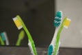 Light blue and green toothbrushes against blurred background, closeup Royalty Free Stock Photo