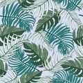 Light Blue and Green Tropical Palm Leaf seamless pattern background