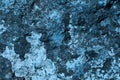 Light blue grunge brushed lichen on rock texture - nice abstract photo background