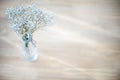 light blue gypso flower in vase