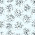 Light Blue Hibiscus flower print. Gorgeous nasturtium. Floral Pattern. Trendy seamless background. Fashion Texture. Line drawing.