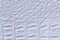 Light blue leather texture background, closeup. Gray reptile skin, macro Royalty Free Stock Photo