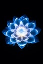 Light Blue lotus rose blooms at night on surrounded madala floor, beautiful blue lotus flowers, Fantasy magic flower, blue light