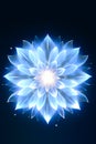Light Blue lotus rose blooms at night on surrounded madala floor, beautiful blue lotus flowers, Fantasy magic flower, blue light