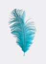 Light Blue Ostrich Feather