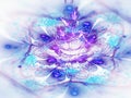 Light blue and purple fractal flower Royalty Free Stock Photo