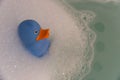 Light blue rubber duck emerges from soap bubbles.