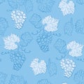 Light blue seamless pattern with grapes - vector floral background Royalty Free Stock Photo