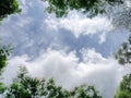 Light blue sky with fluffy clouds and frame from treetop.