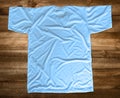 T-shirt for mockup | Color Babyblue | View: Back Royalty Free Stock Photo
