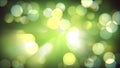 Light bokeh nature fresh effect. Blurred spring forest. Magical shiny abstract background.
