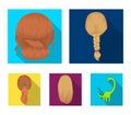 Light braid, fish tail and other types of hairstyles. Back hairstyle set collection icons in flat style vector symbol