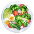 Light salad broccoli, tomatoes, radish, avocado and boiled eggs 2 Royalty Free Stock Photo