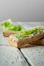 Light Breakfast sandwiches with salad and cheese