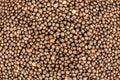 Light brown background rapeseed grain many pattern foundation farm