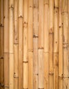 Light Brown Bamboo Wall Texture Background Royalty Free Stock Photo