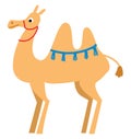 A light brown camel in the desert vector or color illustration