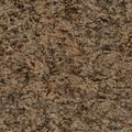 Light brown granite texture with black dots. Seamless square background, tile ready. Royalty Free Stock Photo