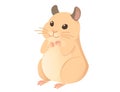 Light brown hamster cute cartoon animal design vector illustration isolated on white background Royalty Free Stock Photo