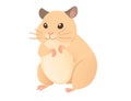 Light brown hamster cute cartoon animal design vector illustration isolated on white background Royalty Free Stock Photo