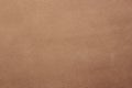 Light brown leather background