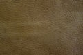 Light brown leather Royalty Free Stock Photo