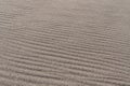 Light brown sand texture background close-up. Windy day on the beach, pattern, abstract Royalty Free Stock Photo