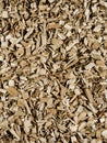 Brown tan wood chips create abstract rough texture natural background surface Royalty Free Stock Photo