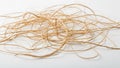 Are light brown thin and flexible varying in length and creating Royalty Free Stock Photo