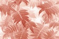 Light brown tinted background from meadowsweet leaves. Abstract natural vegetable wallpaper. Foliage of ornamental shrub. Plant