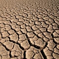 Light brown tones and deep fissures conveying the appearance of a drought Royalty Free Stock Photo